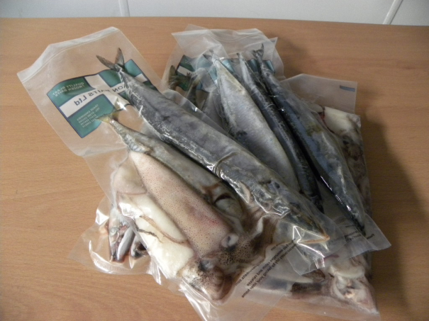 An image of a fishing bait and tackle